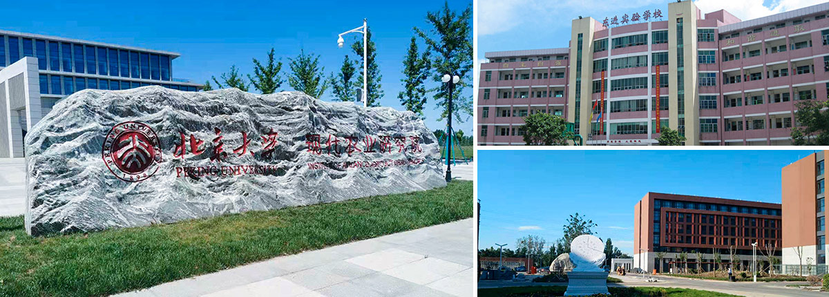 學(xué)校項(xiàng)目