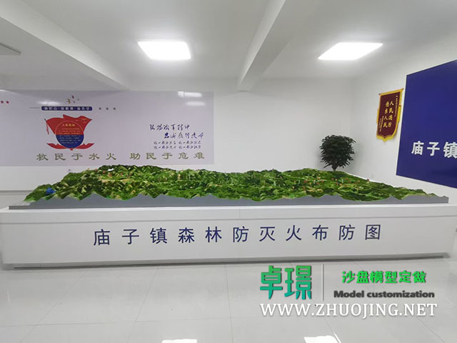 地形地貌沙盤(pán)模型制作廠(chǎng)家案例